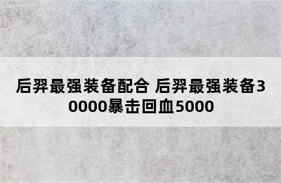 后羿最强装备配合 后羿最强装备30000暴击回血5000